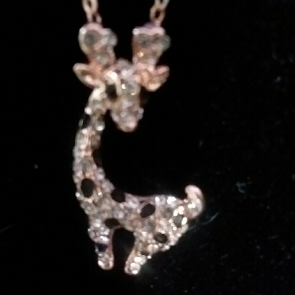 Necklace - Picture 2 of 4